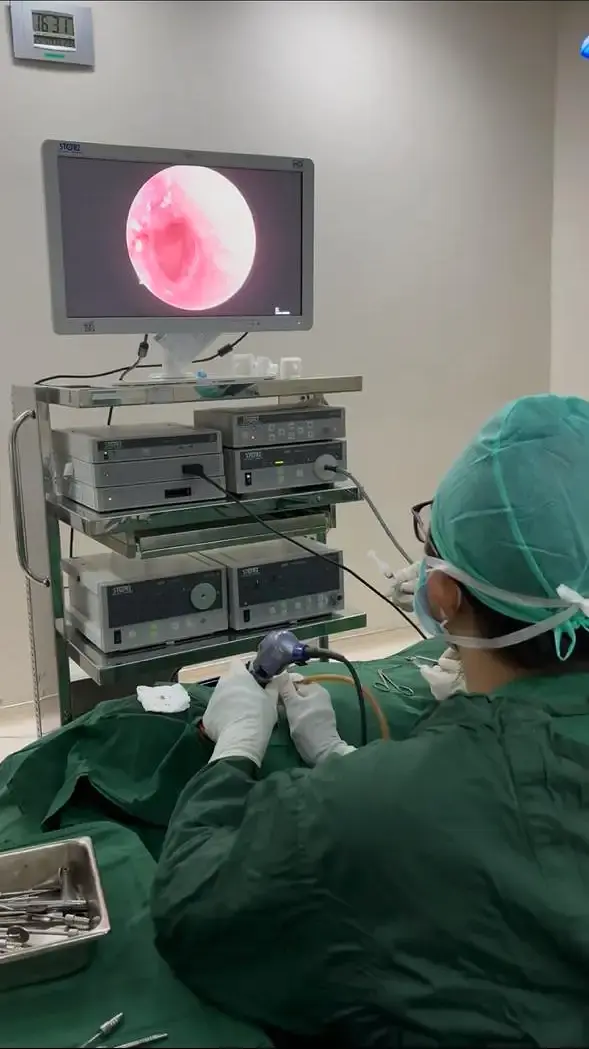 Visualisasi endoskopi gendang telinga pada monitor